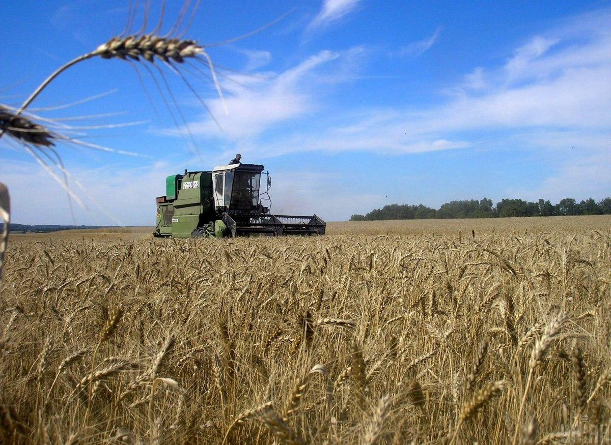 Фахівець розповів, чому країни-сусіди підставляють Україну з зерновим експортом / фото УНІАН, Володимир Лях Фахівець розповів, чому країни-сусіди підставляють Україну з зерновим експортом / фото УНІАН, Володимир Лях