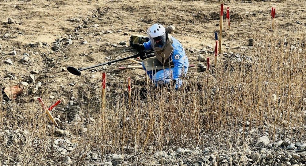 Народження геніального Грибоєдова