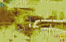 Кролі заманили російських солдатів до пастки снайперів СБУ: кумедні кадри