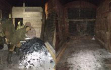 Як худобу: російських військових відправили на війну в Україну в товарних вагонах (фото, відео)