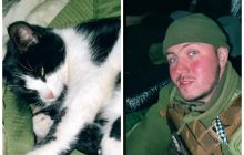 Військовий прийняв у кішки пологи прямо під обстрілами в окопі: зворушливе відео