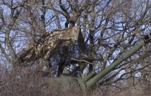 Артиллеристы под Бахмутом поделились радостной новостью (видео)