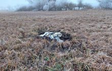 У Молдові виявили бойову частину ракети, що впала вчора при атаці РФ на Україну (фото)