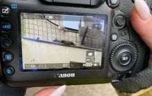 У Дніпрі зі зруйнованого Росією будинку врятували дивом уцілілих домашніх улюбленців (відео)