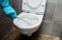 Унитаз заблестит, как новый: просто засыпьте это внутрь