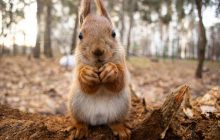 Синоптик попереджає про похолодання в Україні: температура впаде на 5-7 градусів