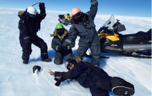 Один из самых крупнейших на континенте: в Антарктиде обнаружен редкий метеорит