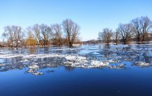 На Черниговщине произошло крупнейшее за 130 лет зимнее наводнение (фото, видео)