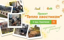 Місія здійсненна: як українці зібрали понад мільйон гривень, щоб зігріти тварин у притулках