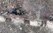 Дрон СБУ забросил "гостинцы" к оккупантам, пока те рыли окоп: много "двухсотых" (видео)