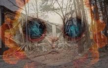 "У Кобзона аншлаг": Гайдай заявил о "бавовне" в госпитале с оккупантами (фото, видео)