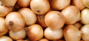Когда следует собирать лук, чтобы он был вкусным и хрустящим: советы экспертов