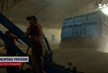 Збитки - понад 5 мільярдів: СБУ викрила митників, які незаконно продавали зерно за кордон