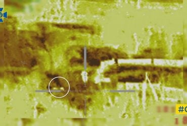 Кролі заманили російських солдатів до пастки снайперів СБУ: кумедні кадри