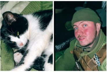 Военный принял у кошки роды прямо под обстрелами в окопе: трогательное видео