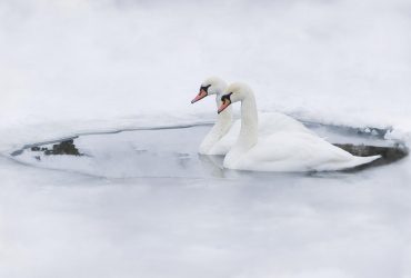 Синоптик здивувала прогнозом на Водохреща: чи вдарять тріскучі морози