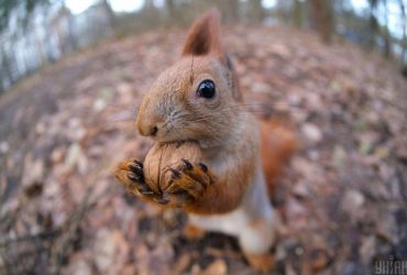 Сьогодні українці відчують потепління: температура підвищиться по всій країні (карта)