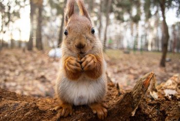 Синоптик предупреждает о похолодании в Украине: температура упадет на 5-7 градусов