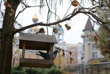 Погода буде контрастною: синоптикиня розповіла, кому пощастить провести теплі вихідні