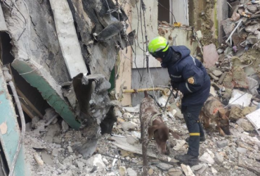 У ДСНС відзначили найкращих чотирилапих помічників за роботу на завалах у Дніпрі (фото)