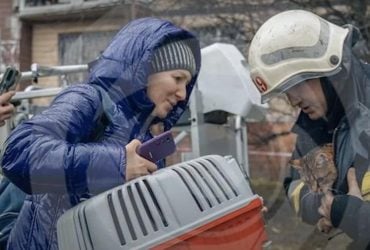 В Днепре в печально известном доме чудом выжили животные пострадавшей женщины