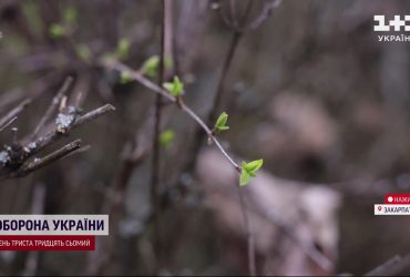 Закарпатье удивило: в регион не по расписанию пришла весна