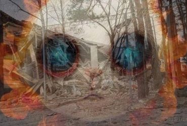 У Кобзона аншлаг: Гайдай заявив про бавовну у шпиталі з окупантами (фото, відео)