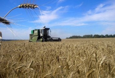 Меньше, чем в прошлом году: в Минагрополитики рассказали, хватит ли Украине зерна