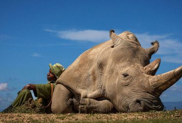 Фото победителя Travel Photographer of the Year 2022
