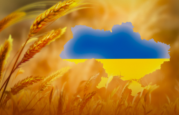 День Соборності України 2024: особлива дата в історії та привітання зі святом