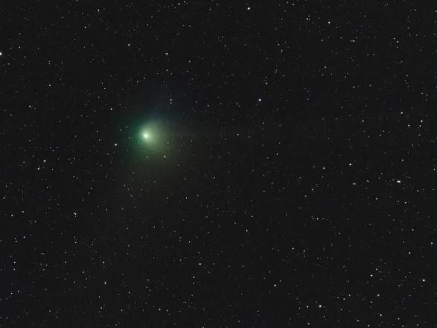 Снимок кометы, сделанный 31 января 2023 года / фото Национальная астрономическая обсерватория Японии