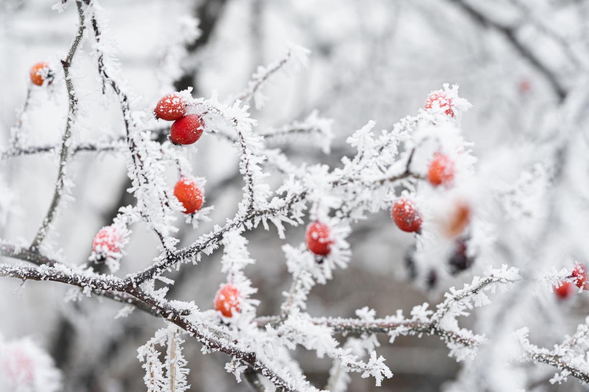 https://images.unian.net/photos/2023_02/1675316954-7982.jpg?r=419863
