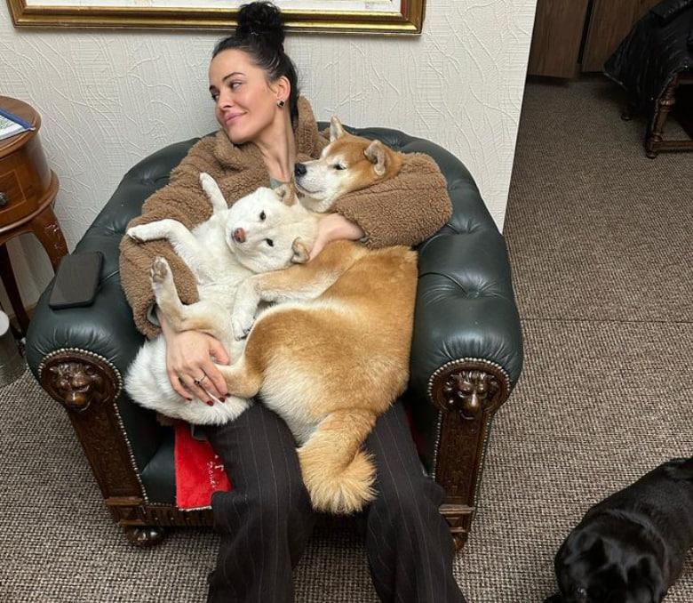 Даша Астафьева и ее собаки / фото из instagram Астафьевой