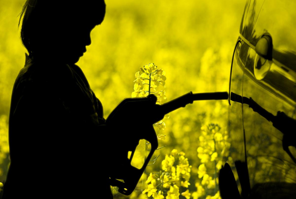 При производстве обычного дизтоплива из нефти выделяется 0,52 грамма углекислого газа на грамм / фото ua.depositphotos.com При производстве обычного дизтоплива из нефти выделяется 0,52 грамма углекислого газа на грамм / фото ua.depositphotos.com