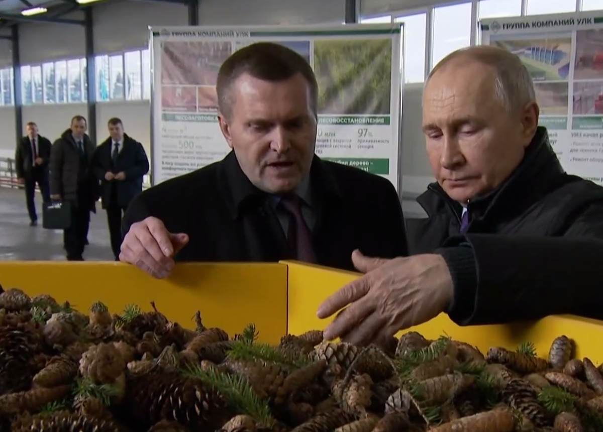 Путин выбрался из "бункера", чтобы потрогать шишки в Архангельске / скриншот Путин выбрался из "бункера", чтобы потрогать шишки в Архангельске / скриншот