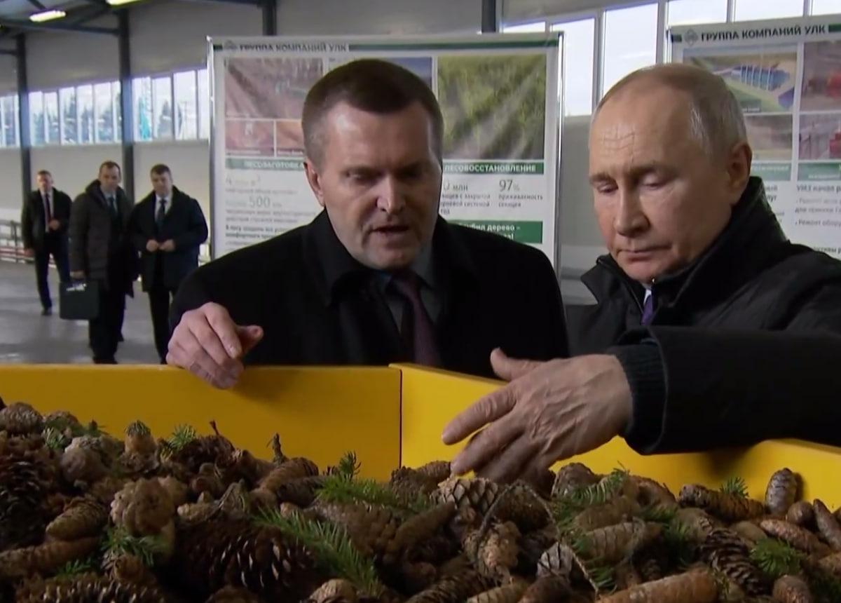 Зачем Путин трогал шишку и почему это принесло ему такое удовольствие Зачем Путин трогал шишку и почему это принесло ему такое удовольствие