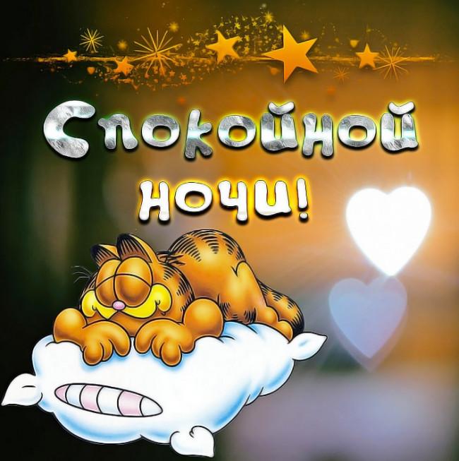 Спокойной ночи картинки / фото bipbap.ru Спокойной ночи картинки / фото bipbap.ru