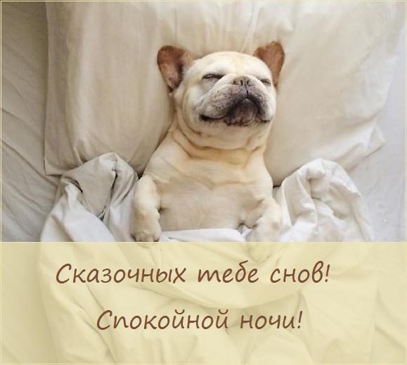 Спокойной ночи картинки / фото bipbap.ru Спокойной ночи картинки / фото bipbap.ru
