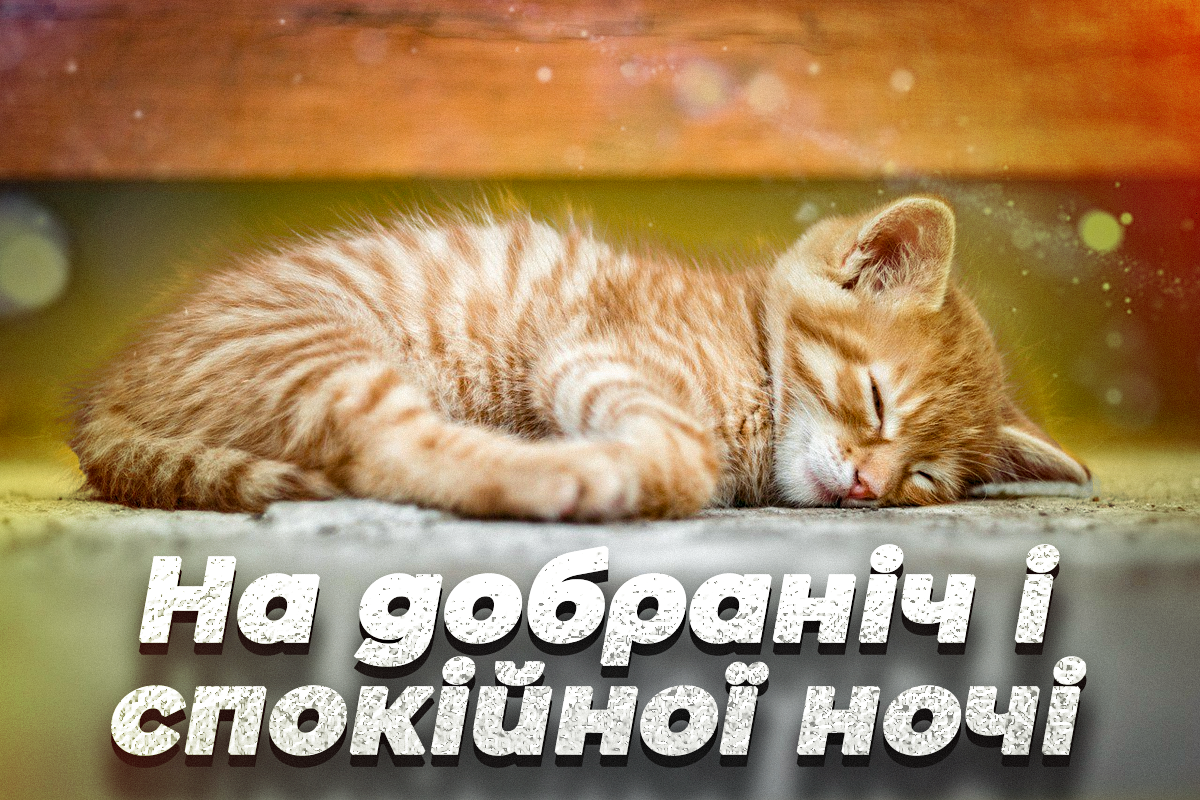 На добраніч листівки / фото pixabay На добраніч листівки / фото pixabay