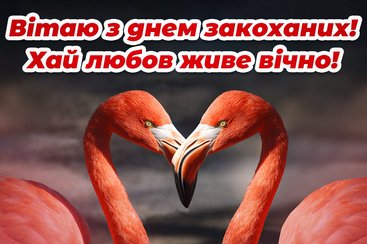 З днем святого Валентина картинки / фото ua.depositphotos.com