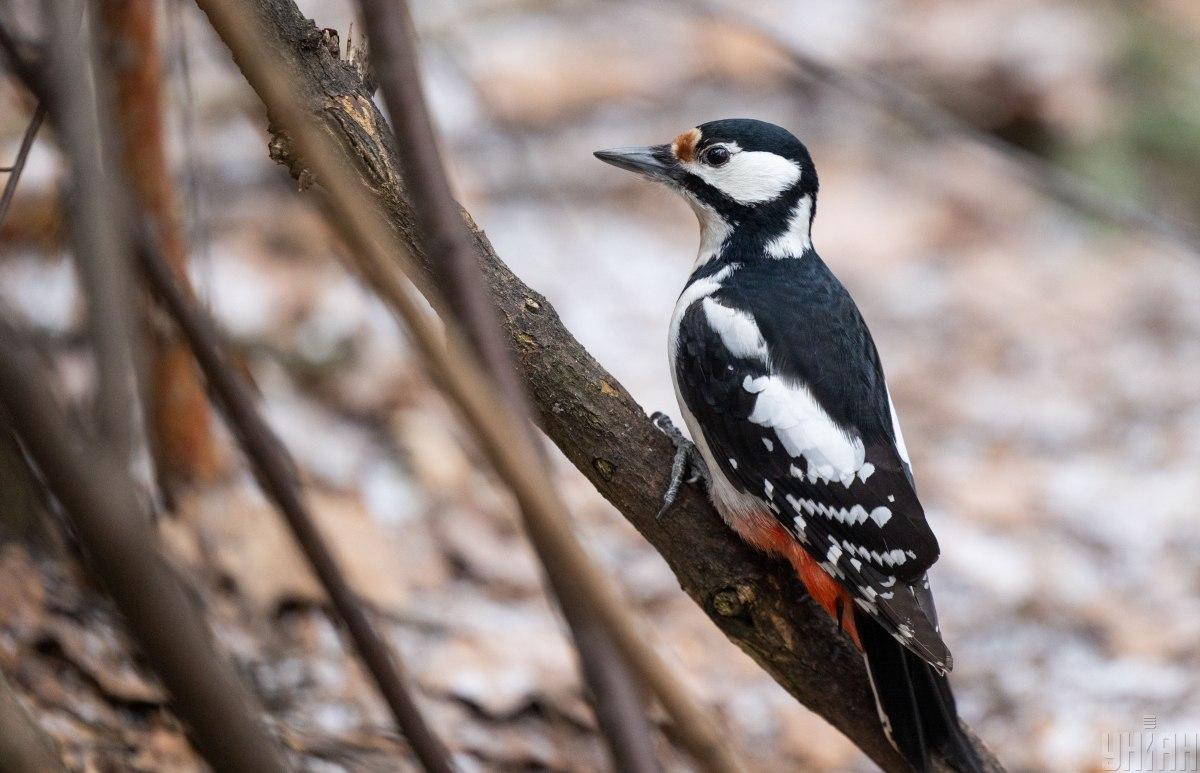 какой сегодня праздник
