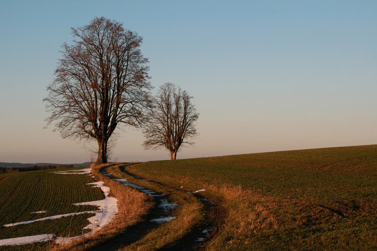 March 4 - signs of today / photo by E. Schaarschmidt, Pixabay