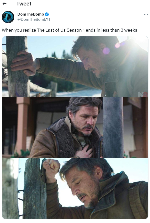 Мемы с паническими атаками Джоэла / скриншот Мемы с паническими атаками Джоэла / скриншот