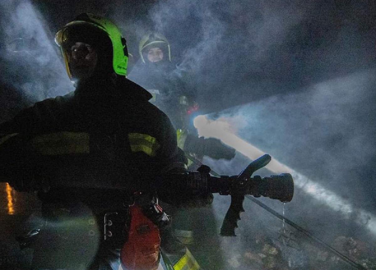 Під час пожежі в парку загинуло двоє людей \ фото ДСНС України Під час пожежі в парку загинуло двоє людей \ фото ДСНС України