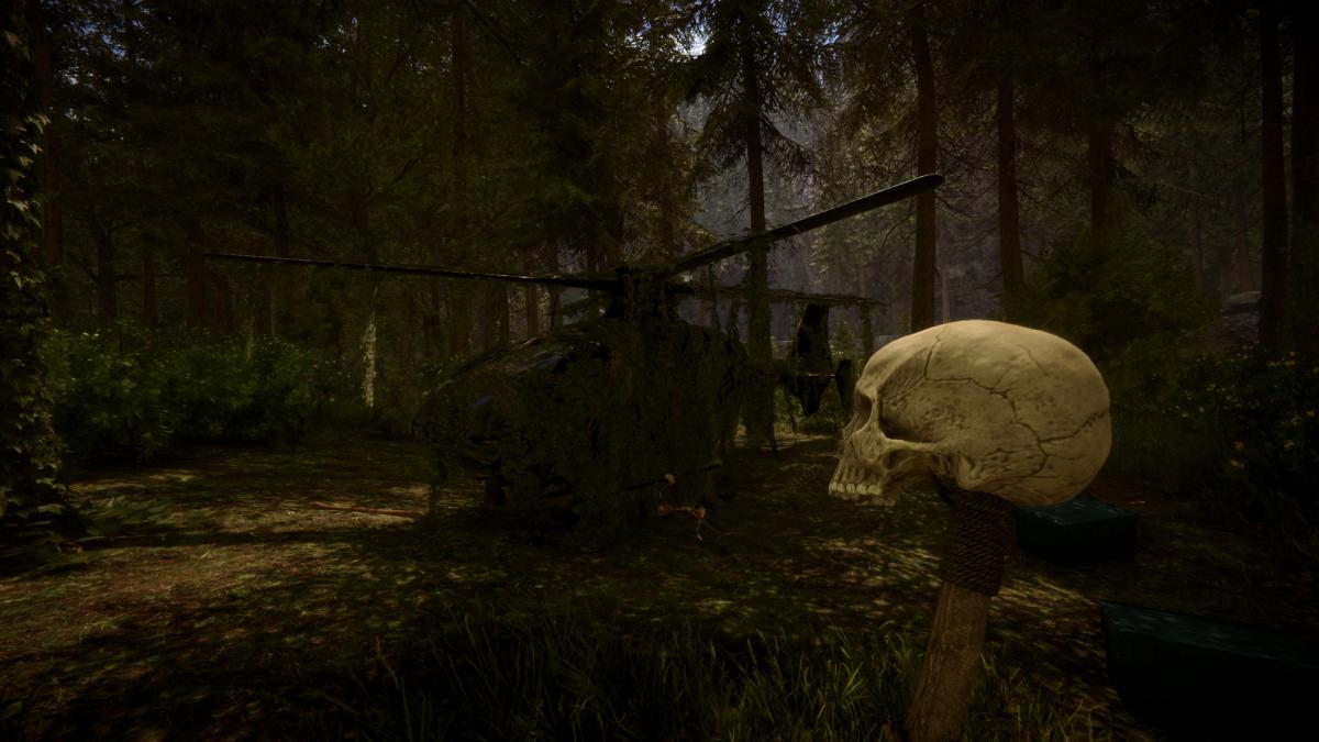 Sons Of The Forest / фото Endnight Games Sons Of The Forest / фото Endnight Games