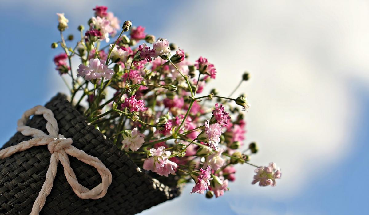 День ангела Олексія / pixabay.com День ангела Олексія / pixabay.com