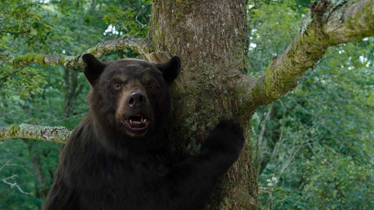 Кадр из фильма "Медведь под кайфом" / фото Universal Pictures Кадр из фильма "Медведь под кайфом" / фото Universal Pictures