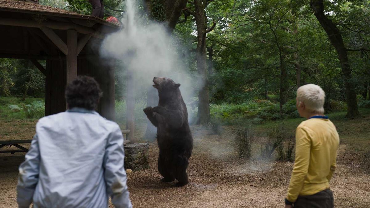 Кадр з фільму "Ведмідь під кайфом" / фото Universal Pictures