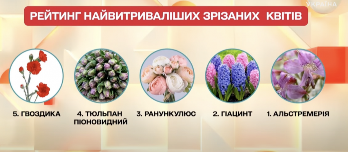 Как продлить жизнь цветам, поможет ли аспирин: лайфхаки флориста (видео) Как продлить жизнь цветам, поможет ли аспирин: лайфхаки флориста (видео)