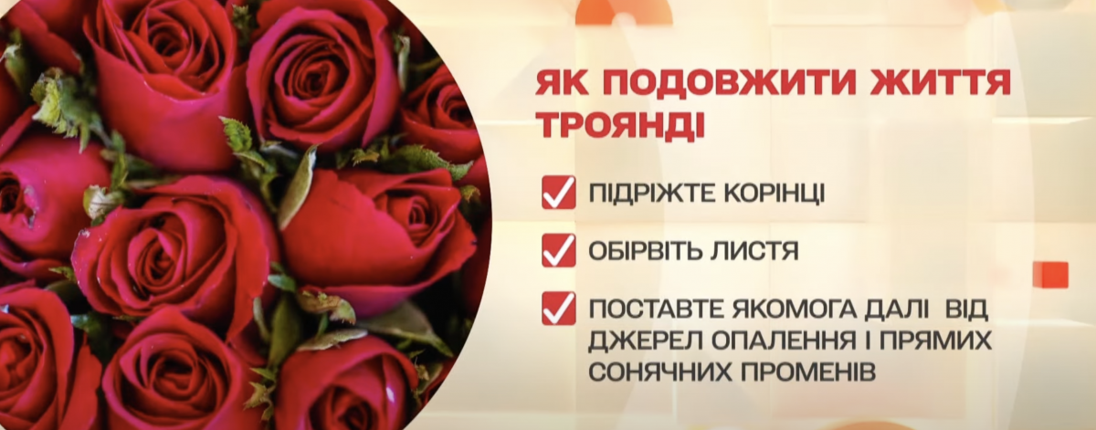 Как продлить жизнь цветам, поможет ли аспирин: лайфхаки флориста (видео) Как продлить жизнь цветам, поможет ли аспирин: лайфхаки флориста (видео)